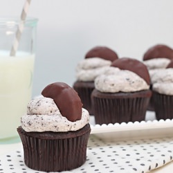 Chocolate Covered Oreo Cupcakes