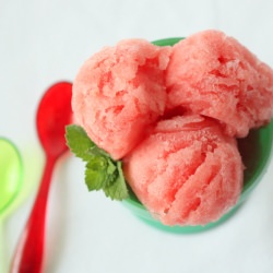 Mint Infused Watermelon Sorbet