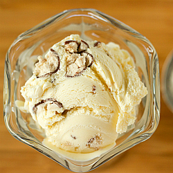 Malted Milk Ice Cream