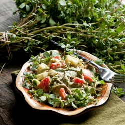 Purslane Salad