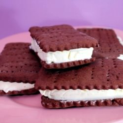 Homemade Ice Cream Sandwiches