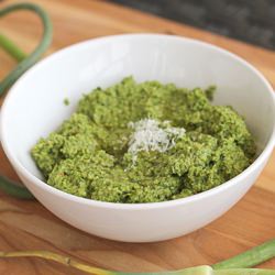 Garlic Scape and Basil Pesto