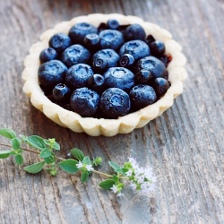 Blueberry & Black Currant Tartlet