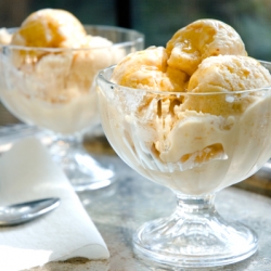 Apricot Nectarine Frozen Yogurt