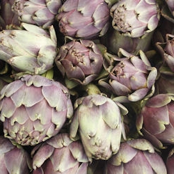 Roman Artichokes