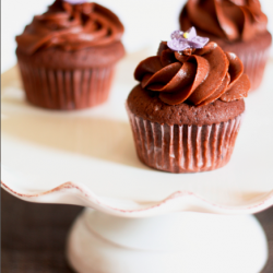 Chocolate Cupcakes