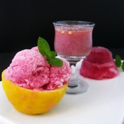 Pomegranate Sherbet