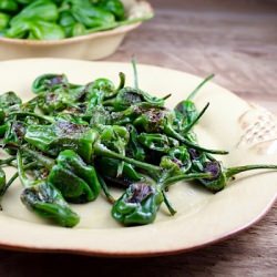 Padron Peppers