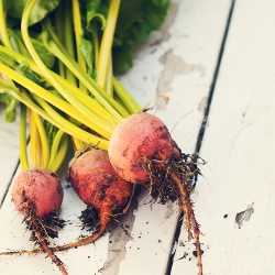 Salt Roasted Beet Salad