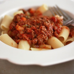 Bolognese