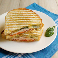 Turkey and Basil Panini