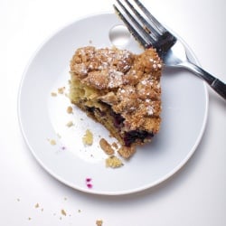 Blueberry Crumb Cake