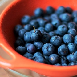 The Best Way to Freeze Blueberries