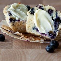 Best Blueberry Muffins