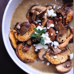 Mushroom Cream Soup