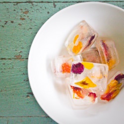 Edible Flower Ice Cubes