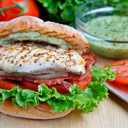 Grilled Chicken Club Sandwich