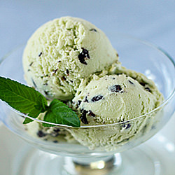 Chocolate-Mint Chip Ice Cream