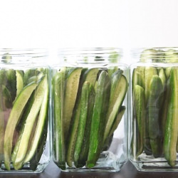 Quick & Easy Homemade Dill Pickles