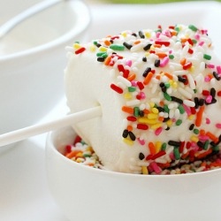 Marshmallow Fun Pops