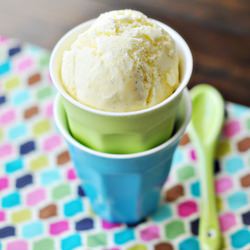 Vanilla Bean Ice Cream