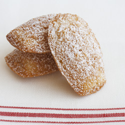 Lavender Honey Madeleines