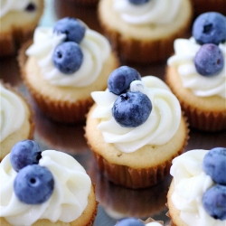 Blueberry Cupcakes