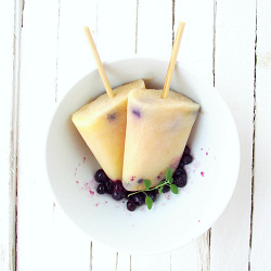 Orange & Blueberry Pops