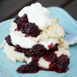 Easy Blackberry Shortcake