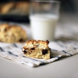 Chocolate Chip Scones