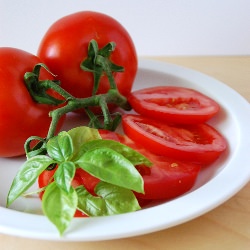 Fresh Garden Bruschetta