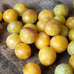 Mirabelles