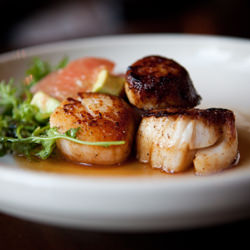 Pan Seared Sea Scallops