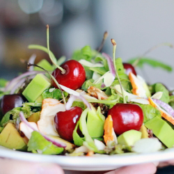 Smoked Chicken & Cherry Salad