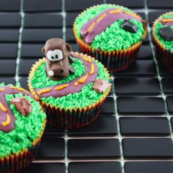 Mater Cupcakes