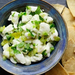 Green & White Halibut Ceviche