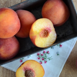 Peaches for Grilling