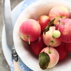 Summer Radish & Crabapple Salad