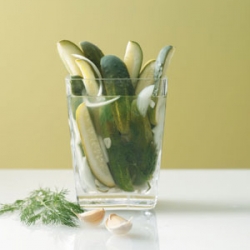 Refrigerator Dill Pickles