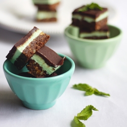 Mint Chocolate Nanaimo Bars