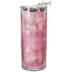 Blueberry Thyme Collins