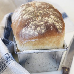 Homemade White Loaf