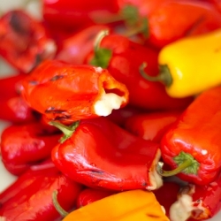 Spicy Stuffed Sweet Peppers