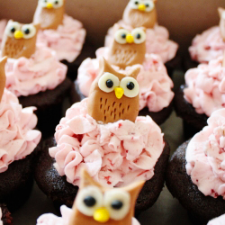 Owl Cupcakes