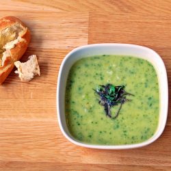 Minted Courgette Soup