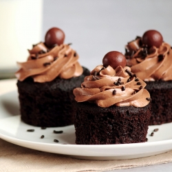 Malted Chocolate Frosted Cupcakes