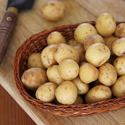 Spicy Bombay potatoes