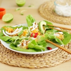 Vietnamese Summer Wraps