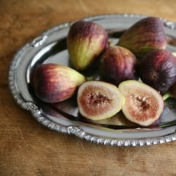 Brie and Figs Paired with Moscato