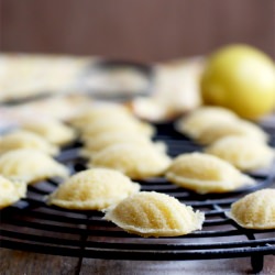 Baby Lemon Madeleines